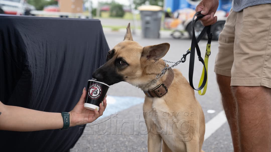 Police dog on a leash sniffing or interacting with a hand holding a small container, with people standing nearby in an outdoor setting.